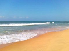 top-beaches-of-india