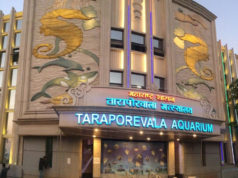 Taraporewala Aquarium in Mumbai