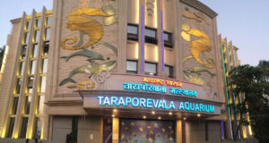 Taraporewala Aquarium in Mumbai