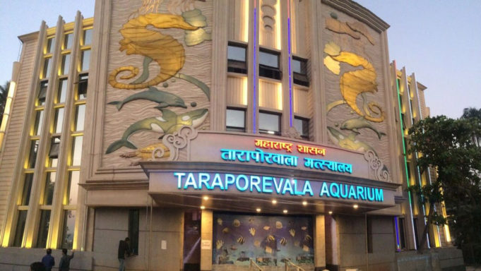 Taraporewala Aquarium in Mumbai