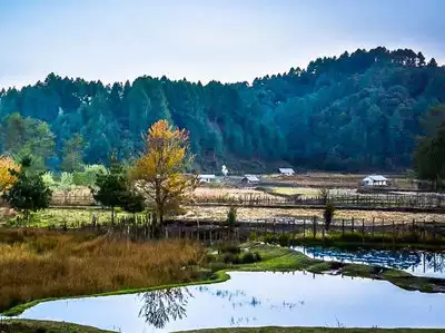 Ziro Valley In Arunachal Pradesh Best Places To Visit