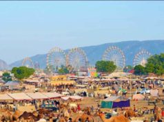 Pushkar Camel fair