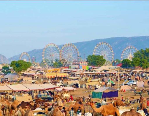 Pushkar Camel fair