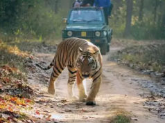 Dudhwa Tiger Reserve