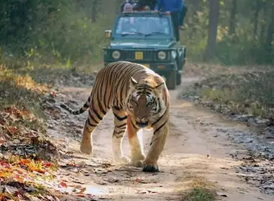 Dudhwa Tiger Reserve