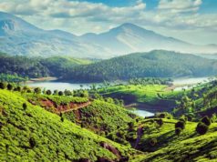 munnar