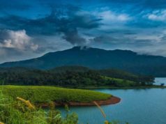 Tourist places in Wayanad