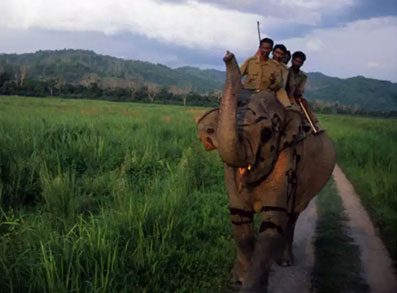 Kaziranga National Park