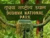 Wildlife Must Visit Dudhwa