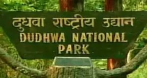 Wildlife Must Visit Dudhwa