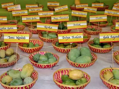 Mango Festival