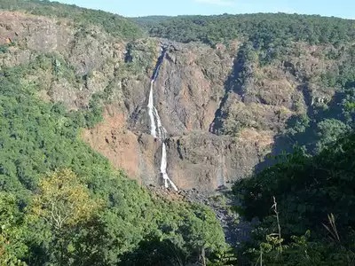 National Park Of Odisha